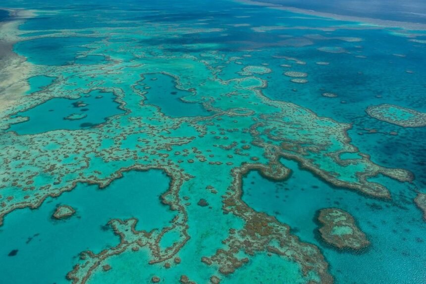 Grande Barreira de Corais da Austrália — Foto: Great Barrier Reef Marine Park Authority