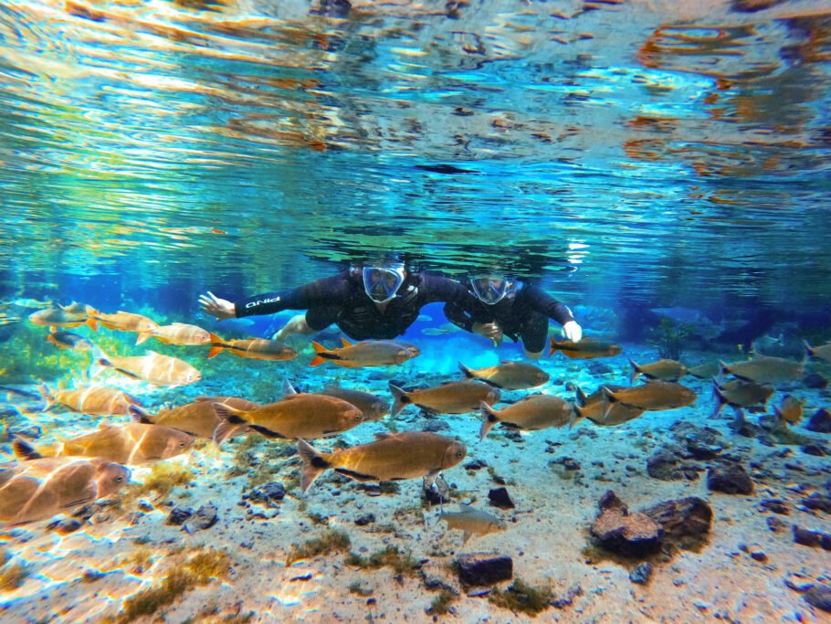 Flutuação na Nascente Azul é um dos passeios para fazer em Bonito (MS)