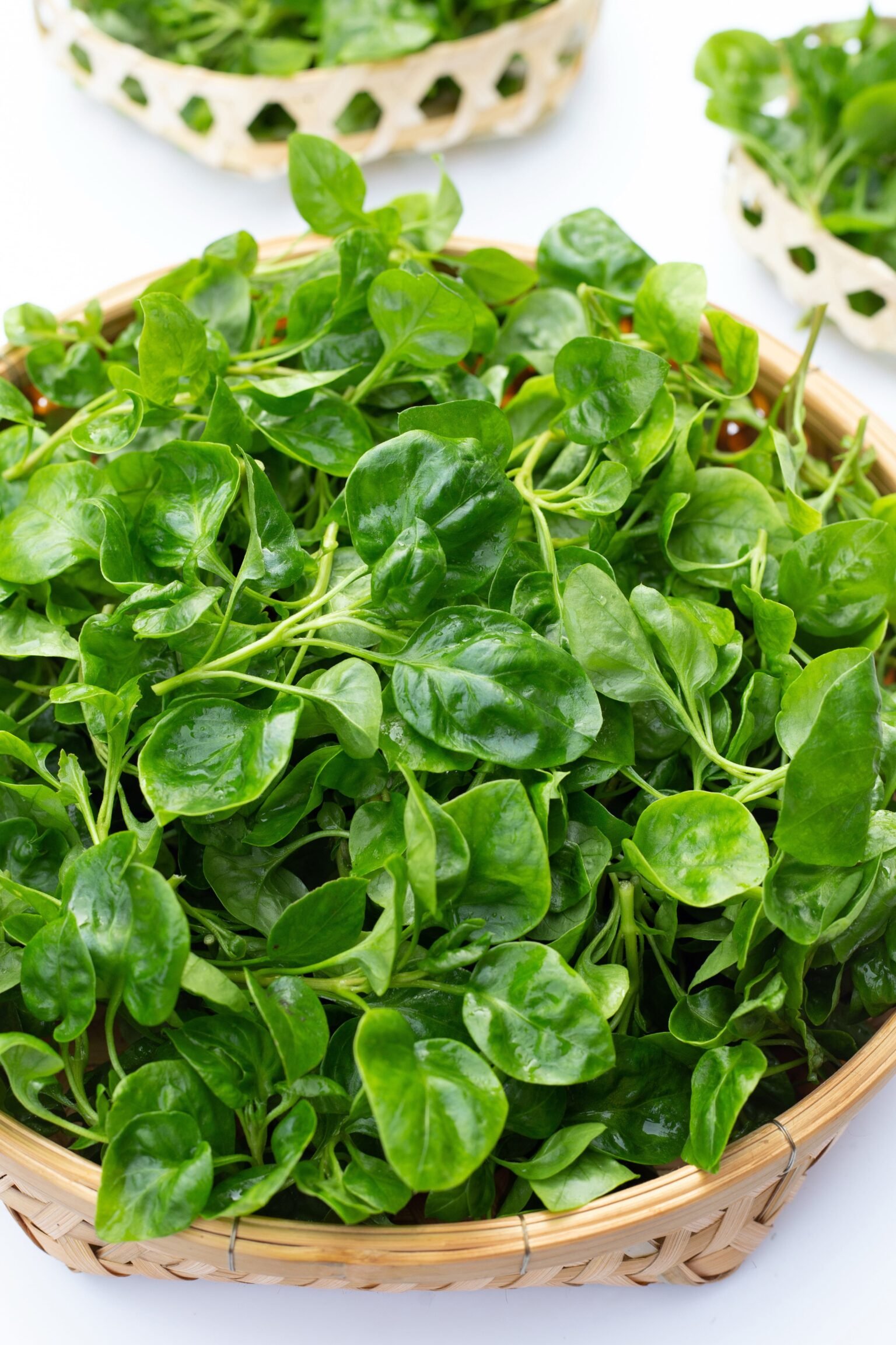 AGRIAO  NAO USAR APOS ESSA DATA EM CASO DE DUVIDA CONSULTE A FOTOGRAFIA Watercress in bamboo basket on white background photo Bowonpat /adobe.stock